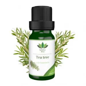 Phytamine-huile de carotte 40ml